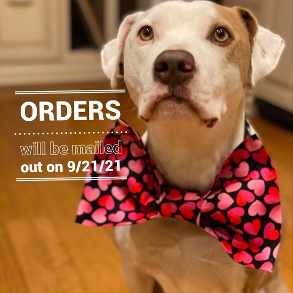 Bundle And Save! - Picture 2 of 5